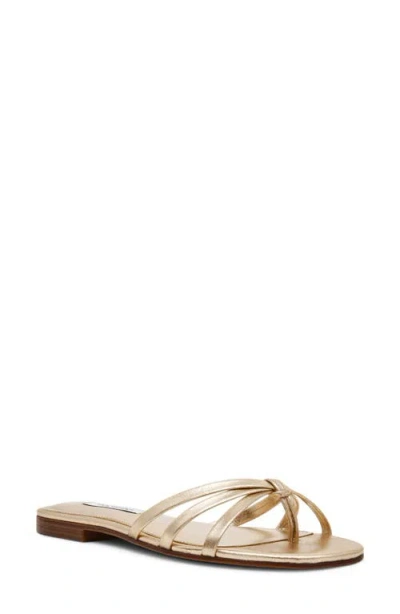 Steve Madden Calissi Flip Flop In Gold