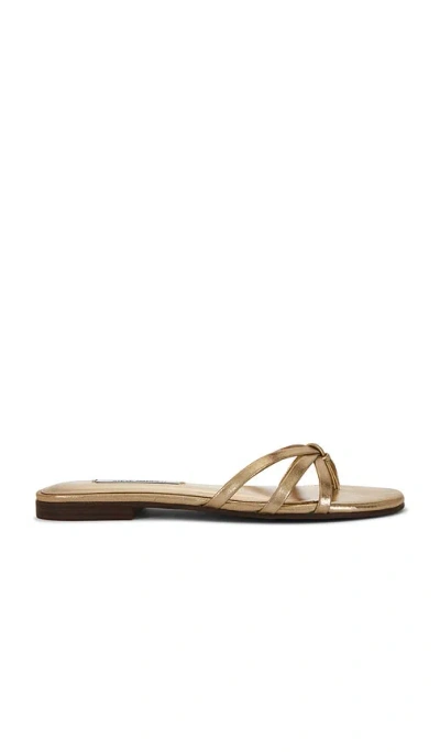 Steve Madden Calissi Sandal In 香槟酒色