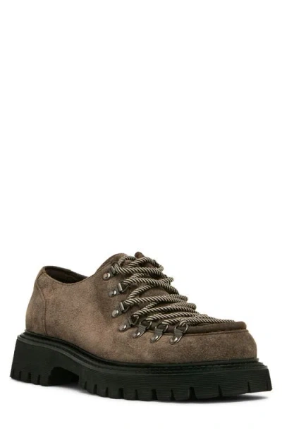 Steve Madden Campello Leather Moc Toe Oxford In Brown