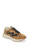 Steve Madden Campo-l Leopard Print Genuine Calf Hair Sneaker In Leopard/tan
