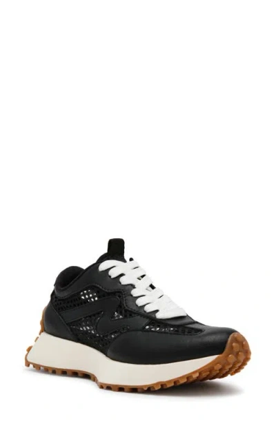 Steve Madden Campo Sneaker In Black Mesh
