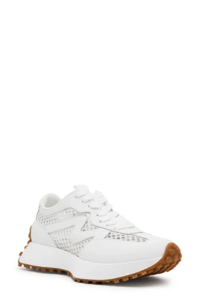 Steve Madden Campo Sneaker In White Mesh