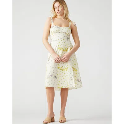 Steve Madden Carlynn Dress Multi