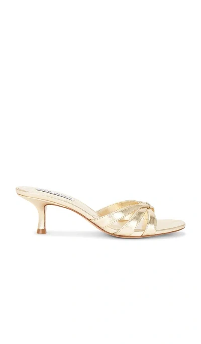 Steve Madden Cary Sandal In Metallic Gold