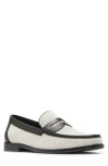 Steve Madden Castille Two-tone Penny Loafer In Beige Black