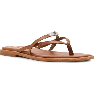 Steve Madden Catalina Flip Flop In Brown