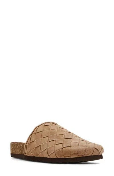 STEVE MADDEN STEVE MADDEN CECILY MULE
