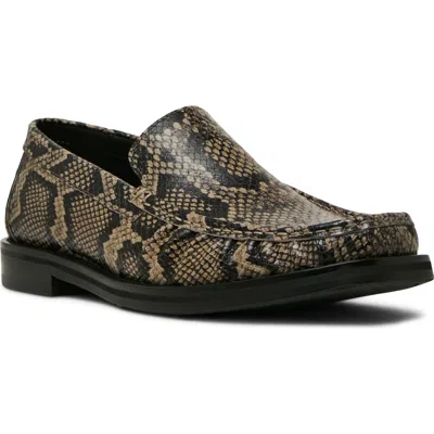 Steve Madden Chester Snake Embossed Leather Loafer In Brown
