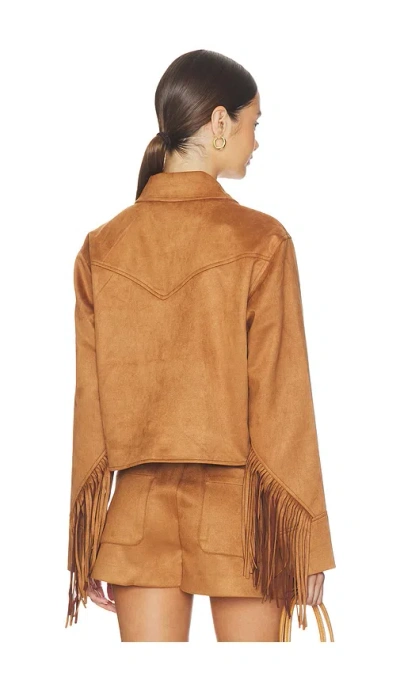 Steve Madden Cheyenne Jacket In Brown