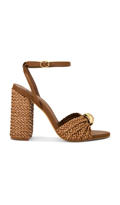 Steve Madden Cheyla Sandal