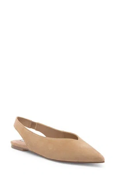 Steve Madden Ciaran Slingback Flat In Taupe Suede