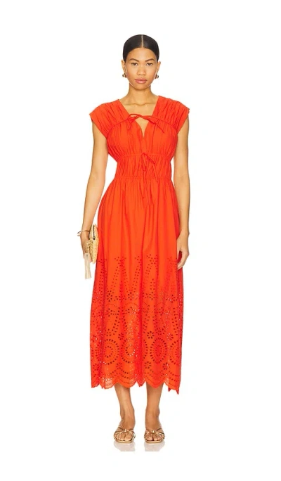 Steve Madden Clementina Dress