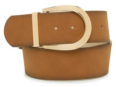 Steve Madden Collar Stud Belt In Cognac