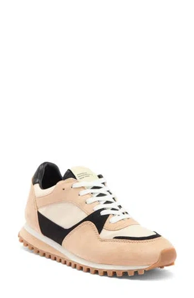 Steve Madden Cynder Sneaker In Tan Multi