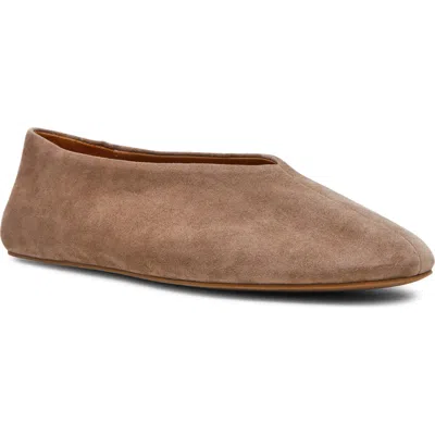 Steve Madden Cyntra Leather Flat In Taupe Suede