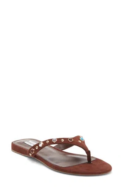 Steve Madden Daizy Flip Flop In Brown