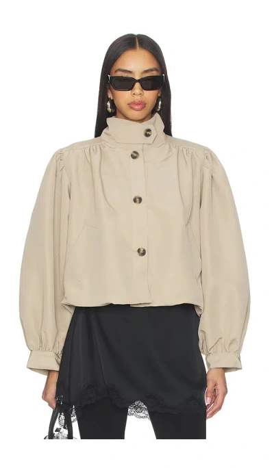 Steve Madden Deedee Jacket In Brown