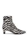 Steve Madden Delvie Zebra Faux Calf Hair Bootie In Zebra