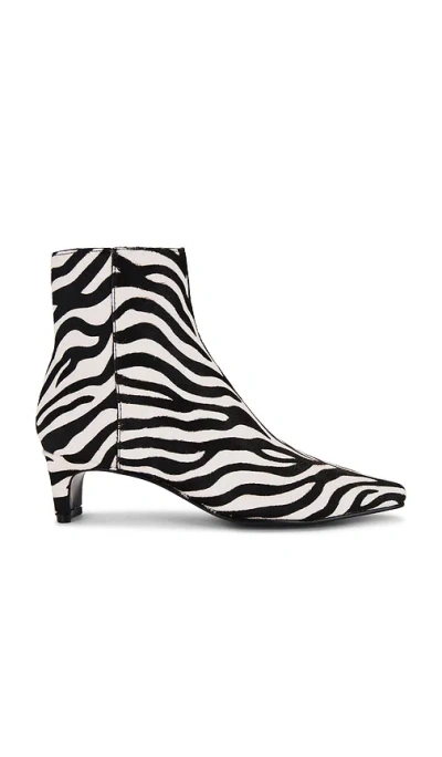 Steve Madden Delvie Boot In Zebra