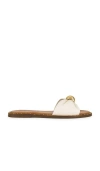 Steve Madden Dipsy Flat