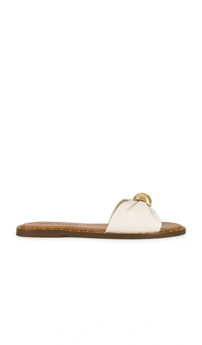 Steve Madden Dipsy Flat