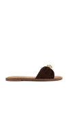 Steve Madden Dipsy Flat