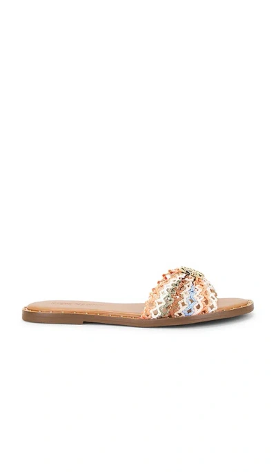 Steve Madden Dipsy Sandal In Multi