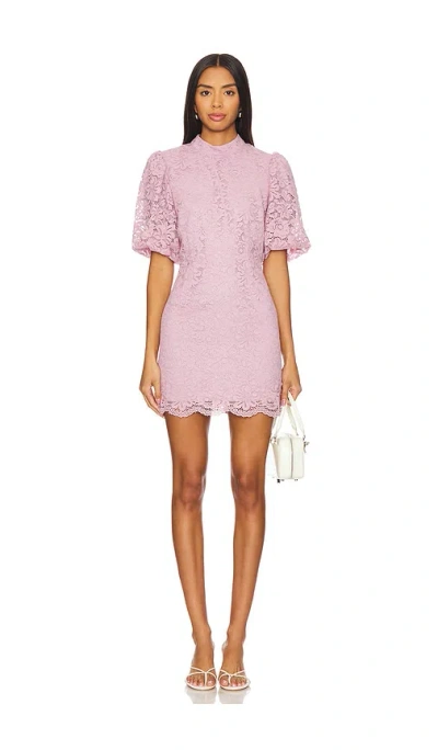 Steve Madden Diya Dress In Mauve Shadows