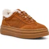 Steve Madden Dodge Platform Sneaker In Brown