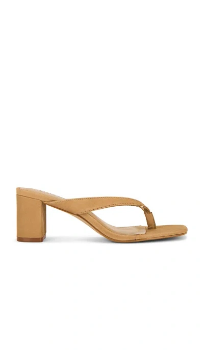 Steve Madden Dodie Sandals