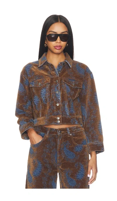Steve Madden Dove Jacket In Brown