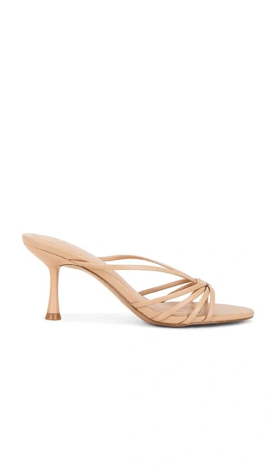 Steve Madden Edna Sandal In Pink