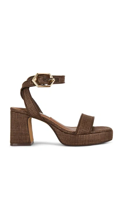 Steve Madden Elida Sandal In Brown