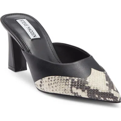 Steve Madden Elysa Pointed Toe Mule In Black