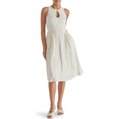 Steve Madden Everleigh Sleeveless Fit & Flare Dress
