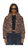 Steve Madden Evy Leopard Print Puffer Jacket In Leopard