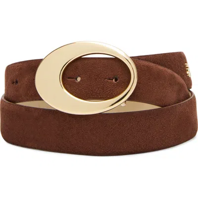 Steve Madden Faux Suede Organic Buckle Belt In Chocolate