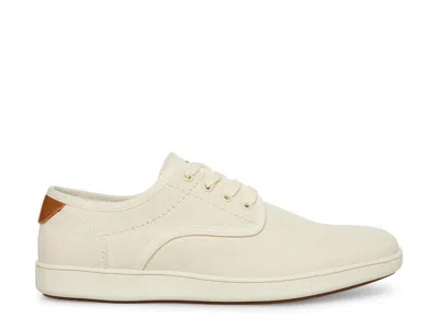 Steve Madden Fenta Sneaker In Brown