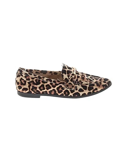 Pre-owned Steve Madden Flats In Brown