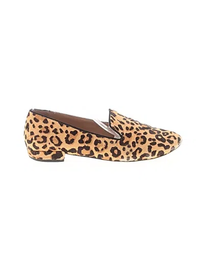 Pre-owned Steve Madden Flats In Brown