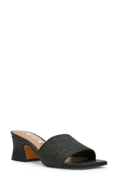 Steve Madden Frolic Slide Sandal In Black
