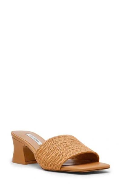 Steve Madden Frolic Slide Sandal In Brown