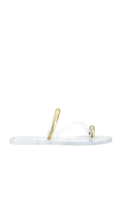 Steve Madden Fuze Flat