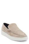 Steve Madden Gatlin Slip-on In Brown