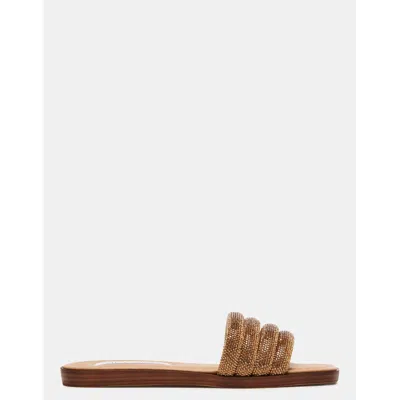 Steve Madden Glitz Bronze In Brown