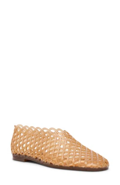 Steve Madden Grove Jelly Flat In Brown