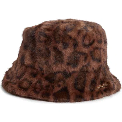 Steve Madden H-zoe Leopard Print Bucket Hat In Brown