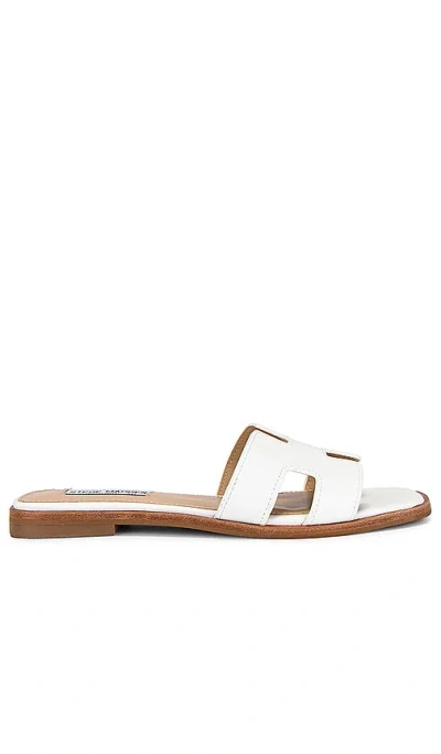 Steve Madden Hadyn Sandal In White Leather