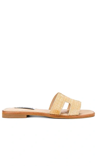 Steve Madden Hadyn Sandal In 棕榈树叶