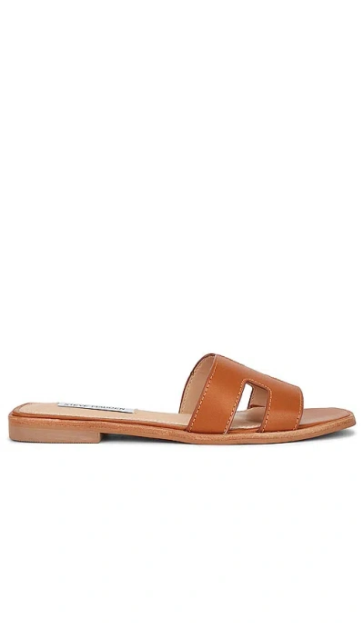 Steve Madden Hadyn Slide In Cognac